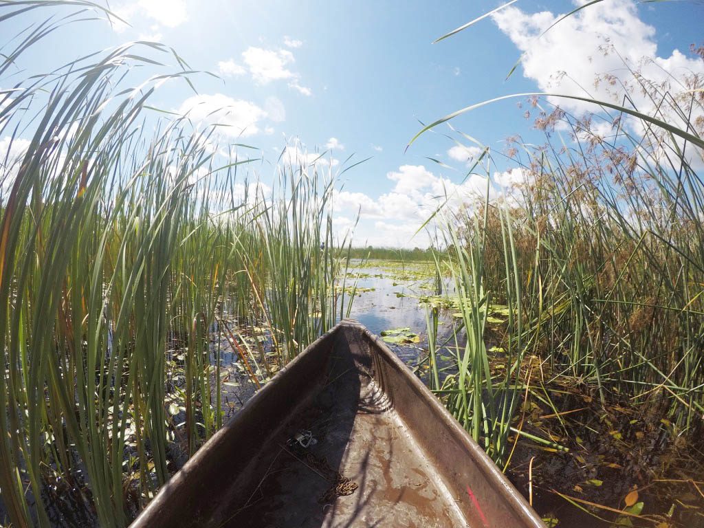 with mokoro boat through the Okavango delta