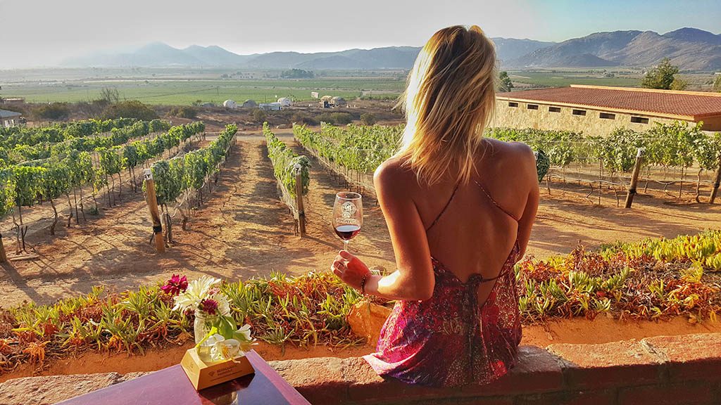 tasting wine while overlooking the vineyard